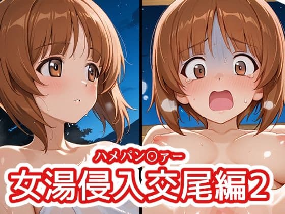 ハメパン〇ァー 〜女湯侵入交尾編2〜