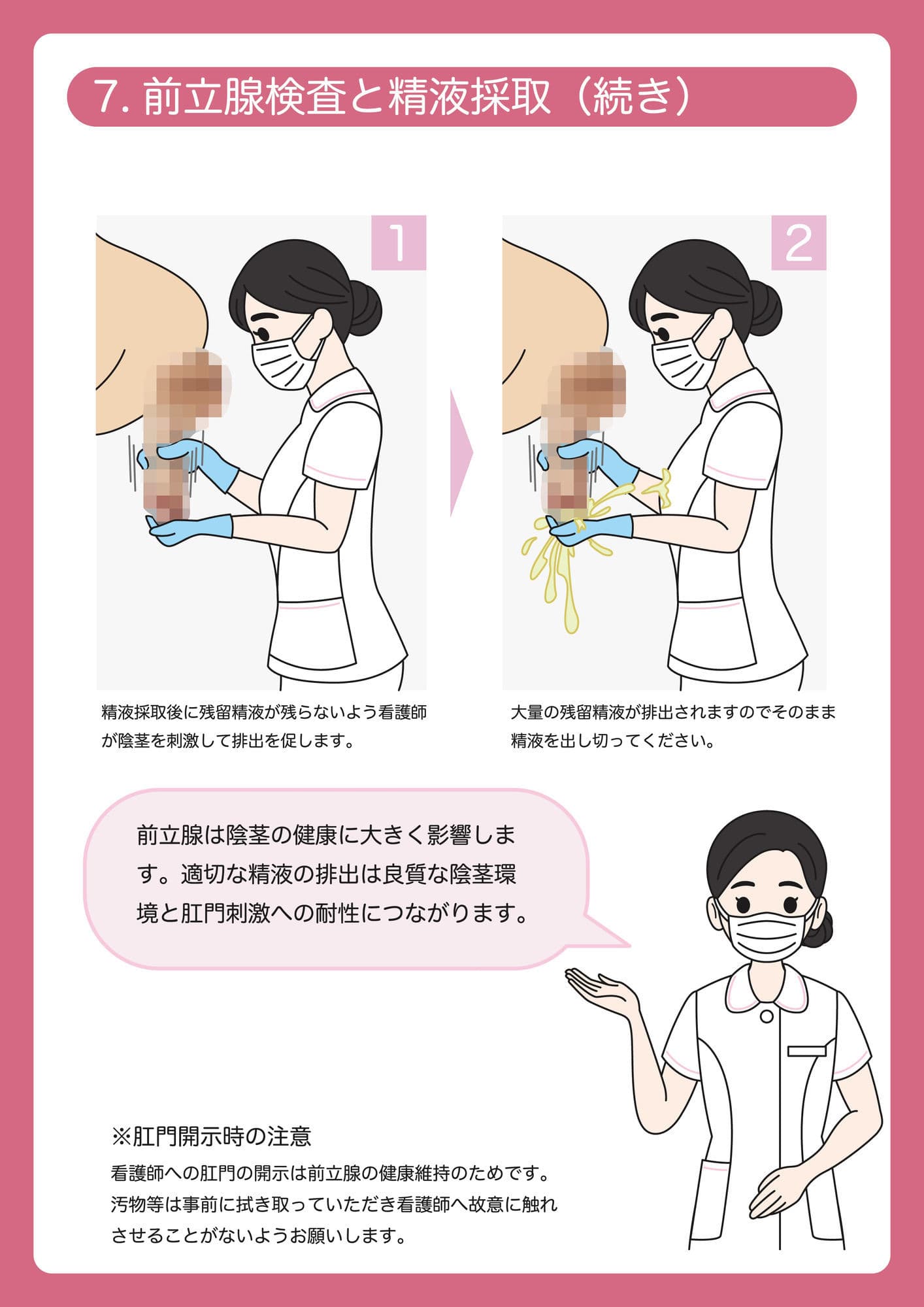 陰茎健診のご案内 サンプル5