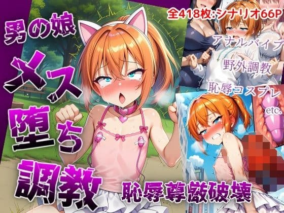 男の娘メス堕ち調教・恥辱尊厳破壊〜お姉さん達に恥ずかしい恰好で責められて尊厳破壊されメス堕ち屈服させられちゃう男の娘の話