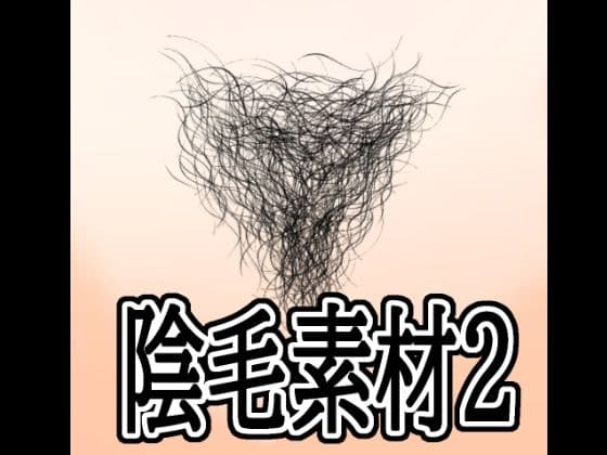 陰毛素材2