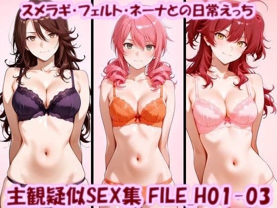 主観疑似SEX集 FILE_H01-03 スメラギ・フェルト・ネーナとの日常えっち
