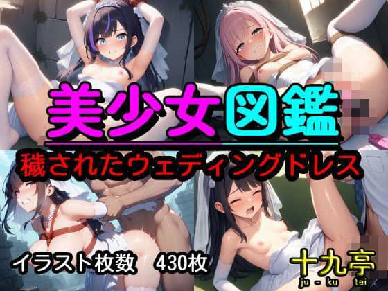 美少女図鑑  穢されたウェディングドレス