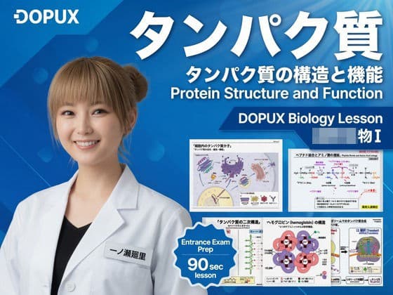 【▲20】一ノ瀬廻里 大学に進学し強豪予備校『DOPUX（ドピュックス』で生物I，IIを教える名物講師に！（Vol.017:タンパク質）