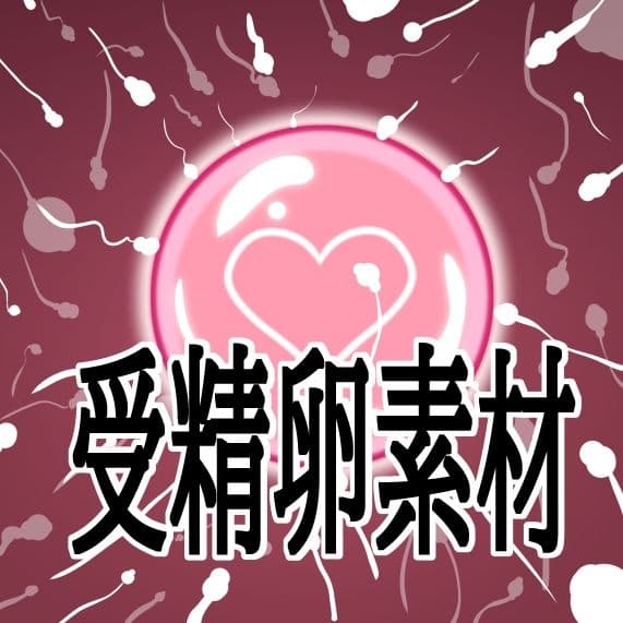 受精卵素材 サンプル1