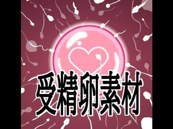 受精卵素材