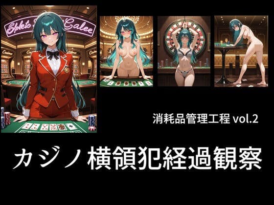カジノ債務者経過報告