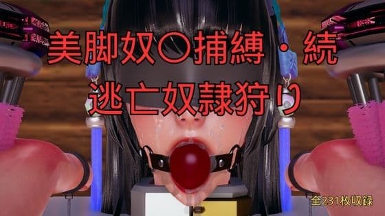 美脚奴〇捕縛・続 脱走奴●捕縛