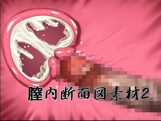 膣内断面図素材2