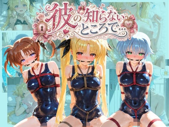 彼の知らないところで… 魔〇少女リリカルなのは