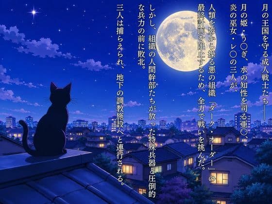 敗北した代償は体を捧げること〜恥辱開発され性奴〇化〜  セーラー〇ーン編 サンプル1
