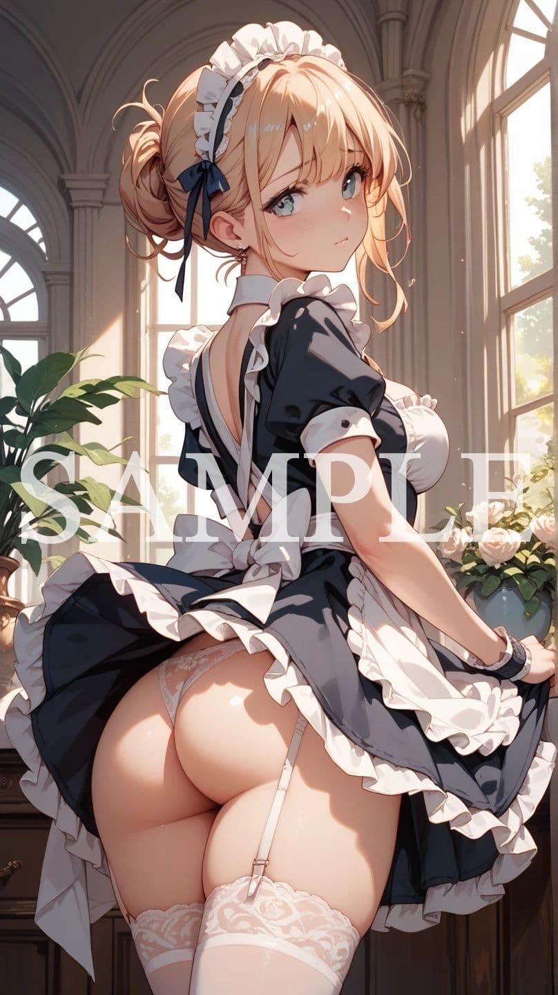【豪華500枚セット】Luxury Maid サンプル1
