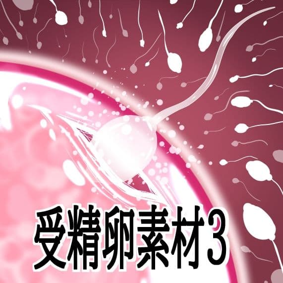受精卵素材3 サンプル1