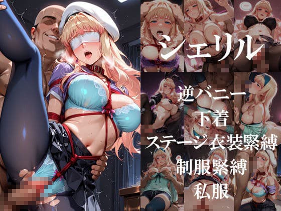 妄想ヒロイン〜陰の章〜、マ〇ロスF、シェリル、ランカ サンプル3