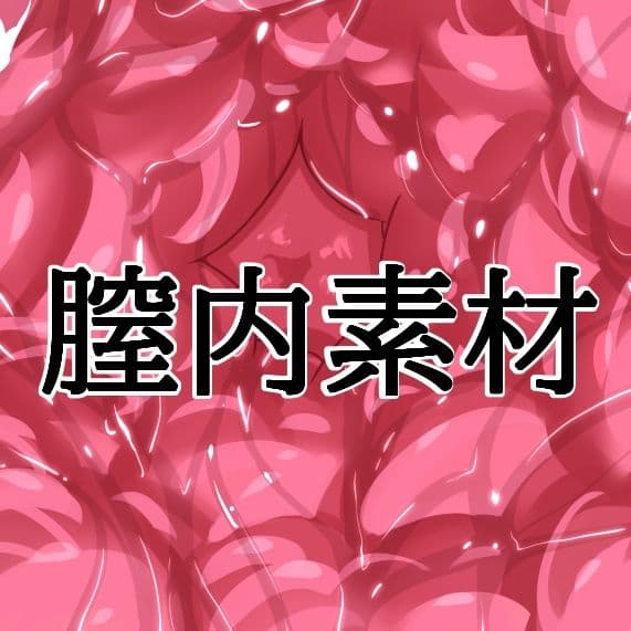 膣内素材 サンプル1