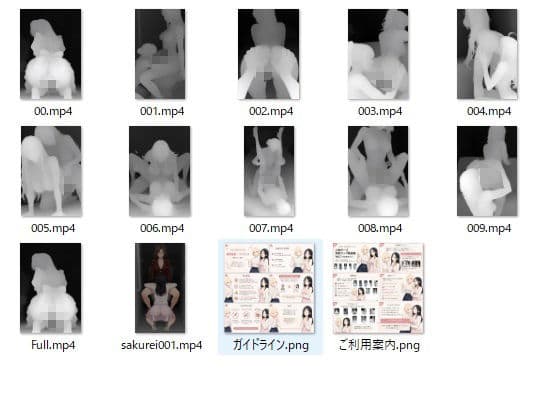 二人組ポーズ深度マップ動画集 Vol.1 サンプル6