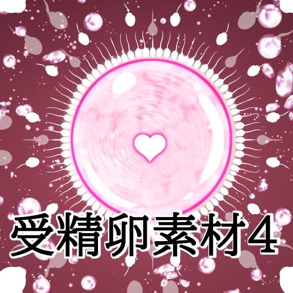 受精卵素材4 サンプル1