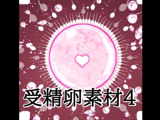 受精卵素材4
