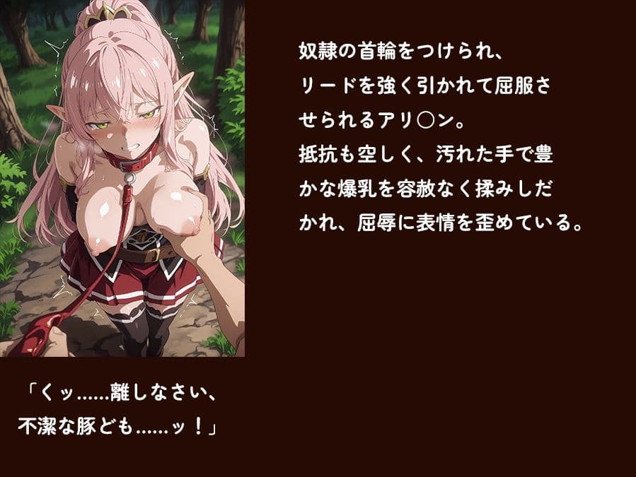 【骸骨騎士様】【アリOン 497枚＋3mp4】アリOンの油断。狂った奴●商の調教監禁―高潔なエルフ女戦士が本物の牝奴●へ墜ちる夜 サンプル1
