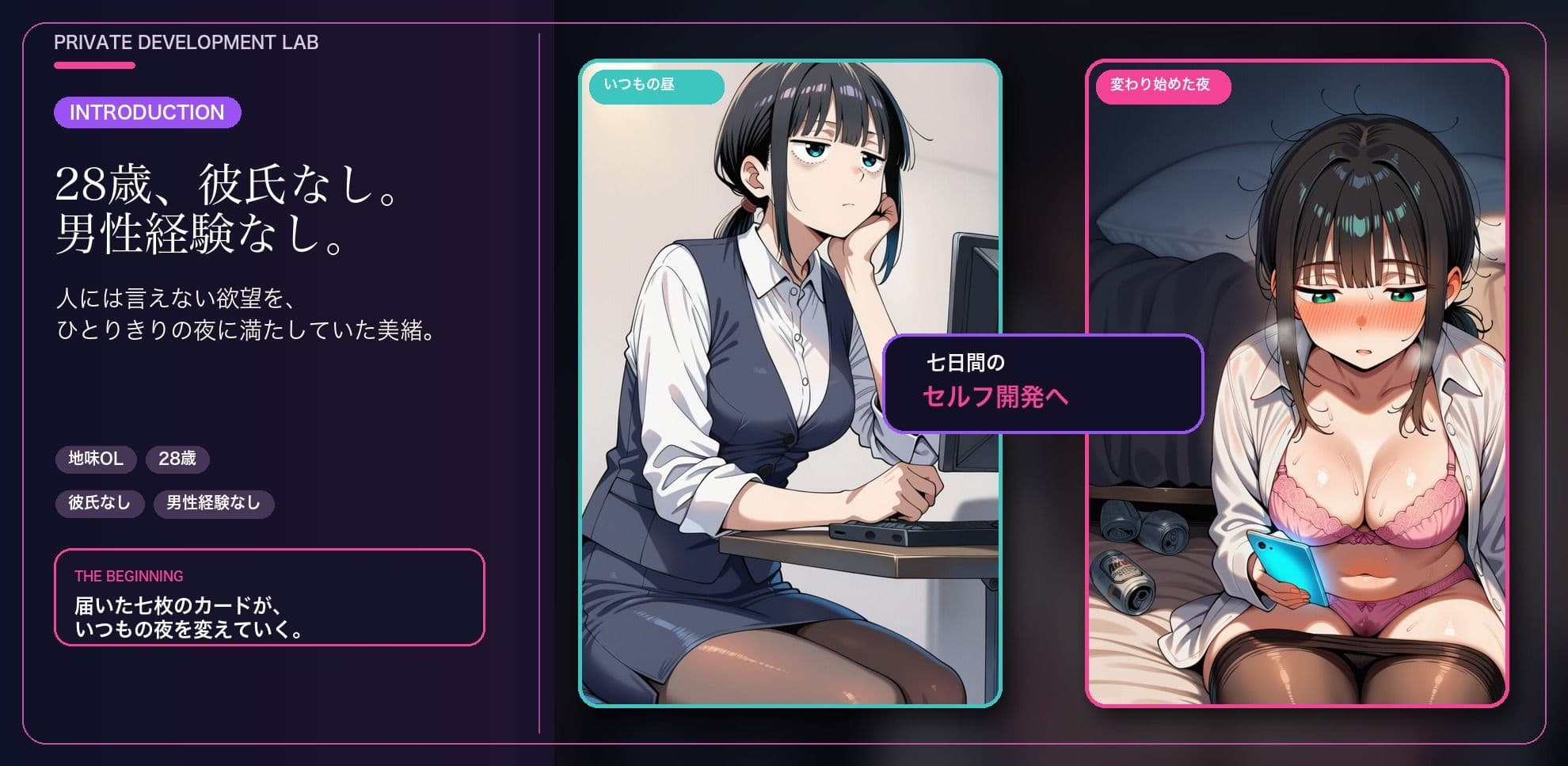 七日間のセルフプレジャープログラムに申し込む女 サンプル1
