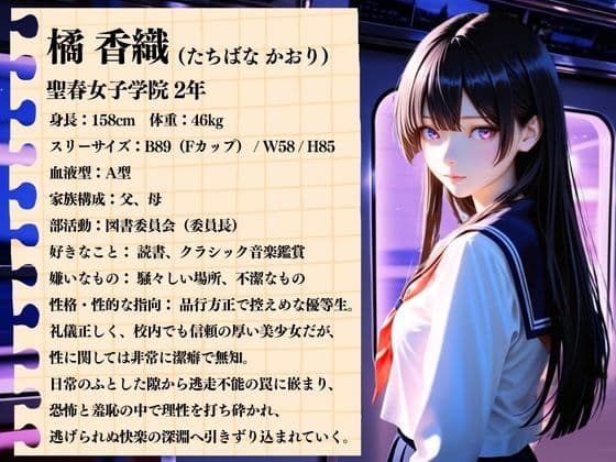 痴●列車 〜狙われた少女〜 サンプル1