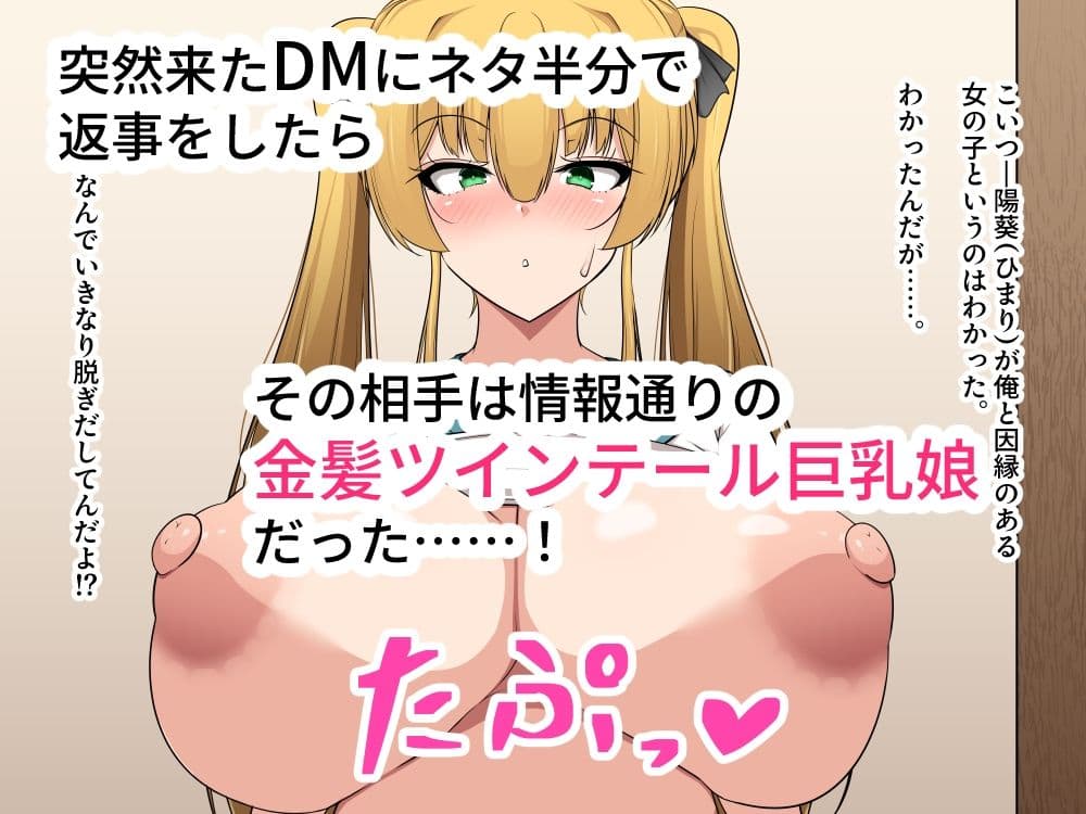 俺のことが好きらしい金髪ツインテール娘を孕ませてボテ腹にするお話。 サンプル1