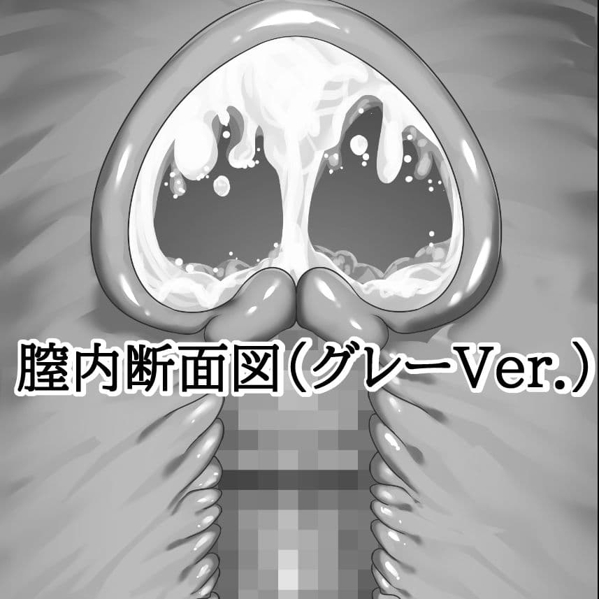 膣内断面図素材（グレーVer.） サンプル1