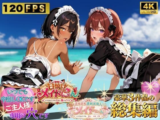 えちえちメイドにゃんシリーズ総集編 〜いつでもどこでも中出し孕ませSEX〜 ご主人様専用の穴です