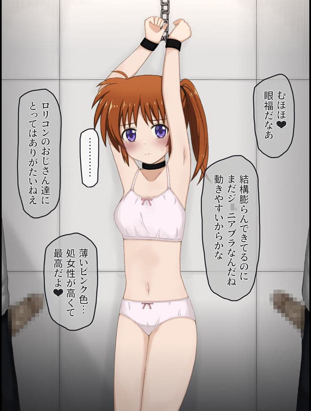 変態局員共に襲われちゃうなのはさんの話 サンプル5