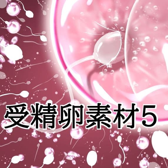 受精卵素材5 サンプル1
