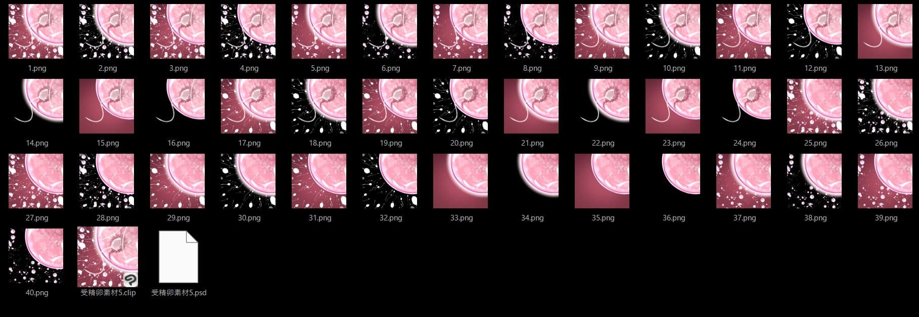 受精卵素材5 サンプル2