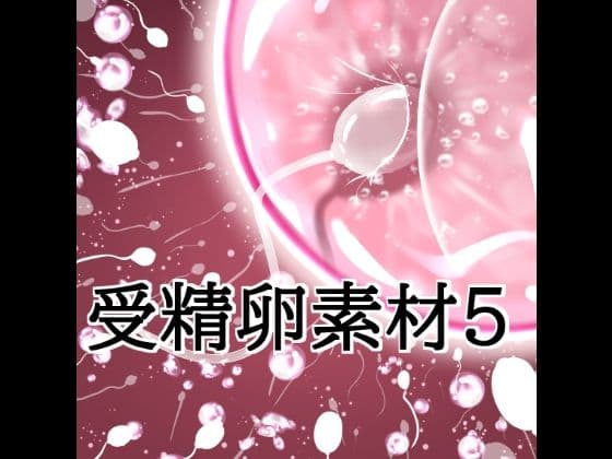 受精卵素材5