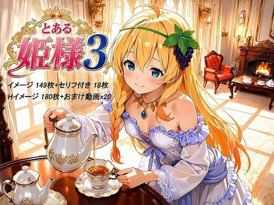 とある姫様3