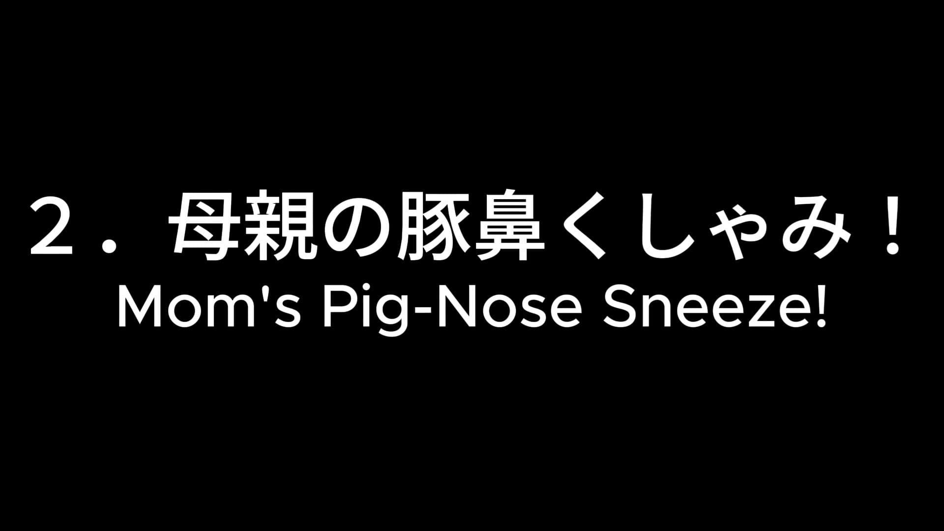 豚鼻くしゃみコレクション！（MP4アニメ） / Pig Nose Sneeze Collection！ （MP4 Anime） サンプル4