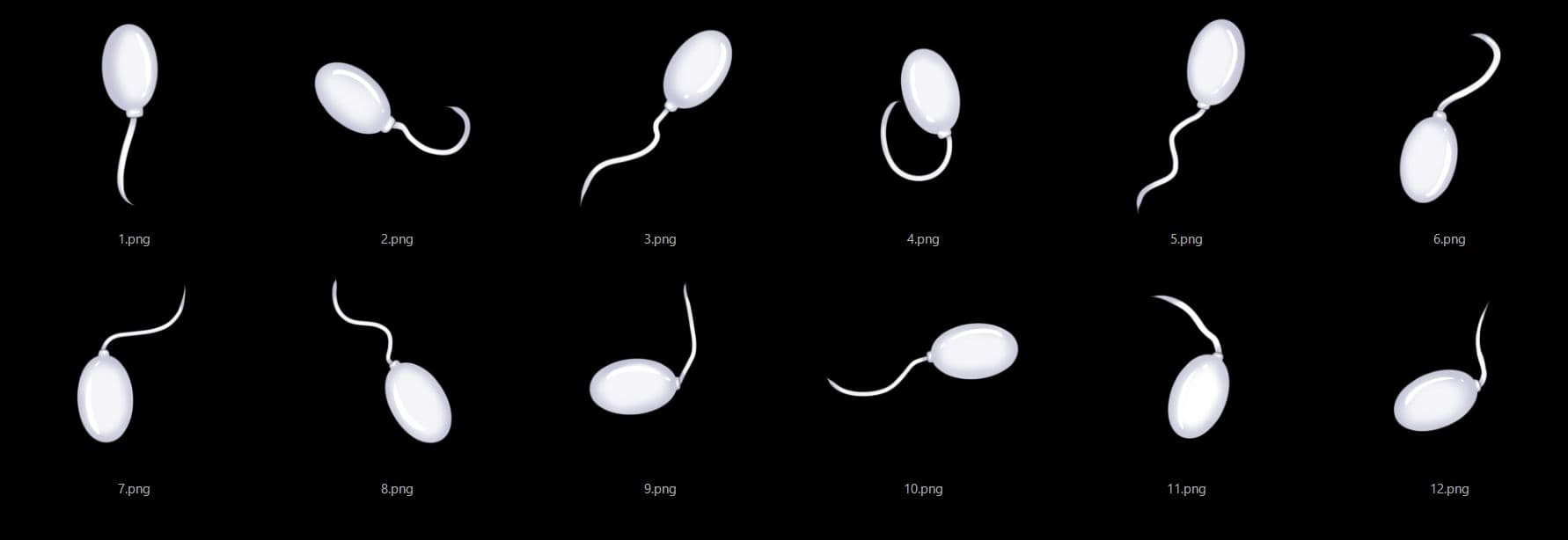 精子素材3 サンプル2