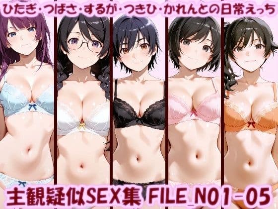 主観疑似SEX集 FILE_N01-05 ひたぎ・つばさ・するが・つきひ・かれんとの日常えっち