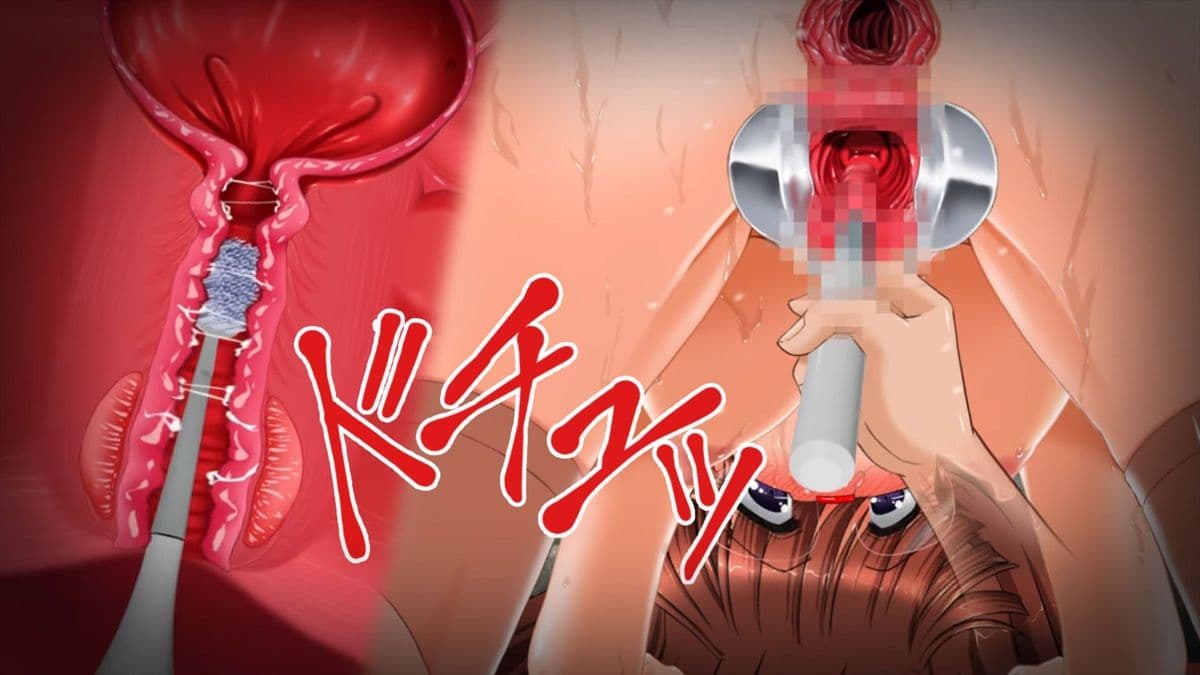 肉奴●志願〜100日間の拡張調教〜アニメーション全集 サンプル8