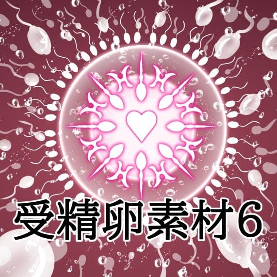 受精卵素材6 サンプル1