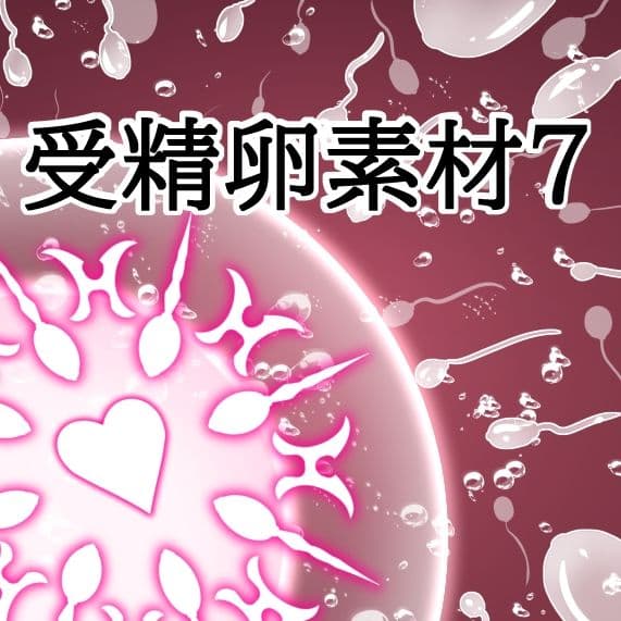 受精卵素材7 サンプル1