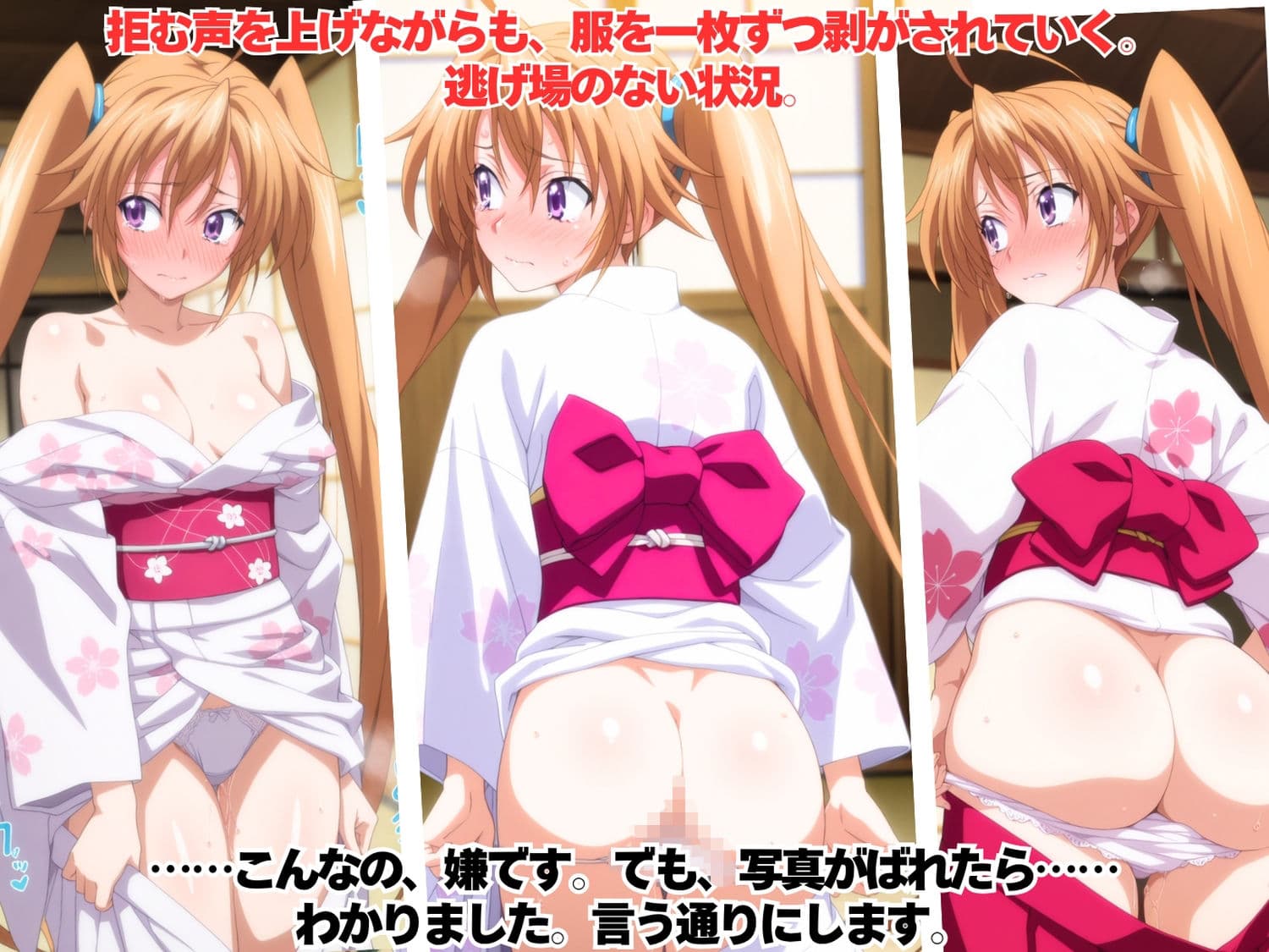 秘密を握られた女たち 〜裸の証拠の前では、プライドなど無意味だった〜 サンプル4