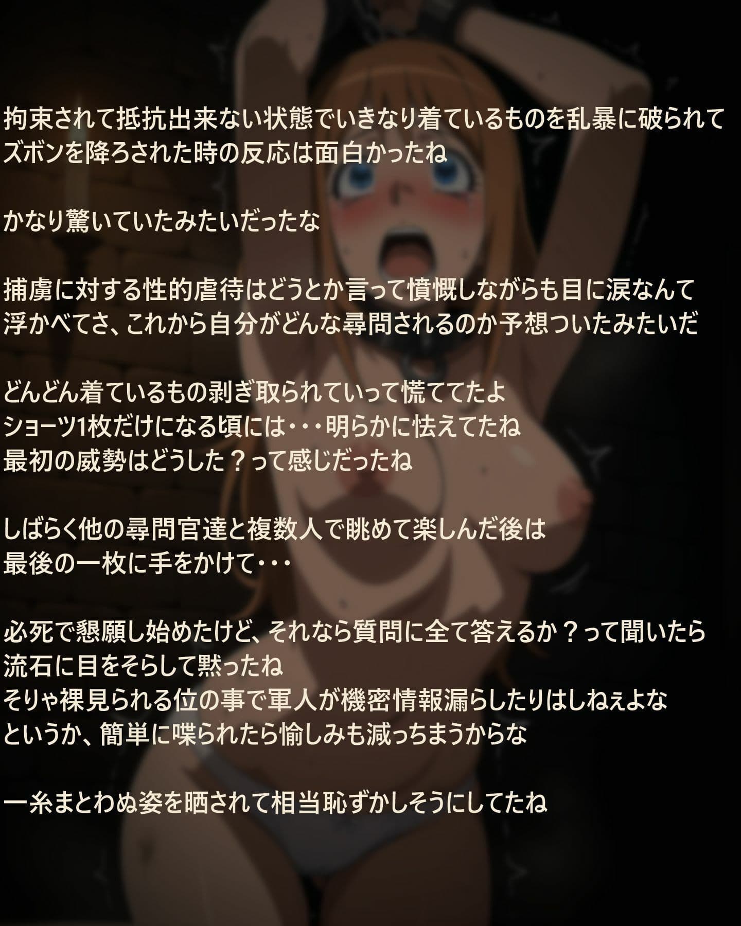 ヴィーシャ尋問記録 サンプル5