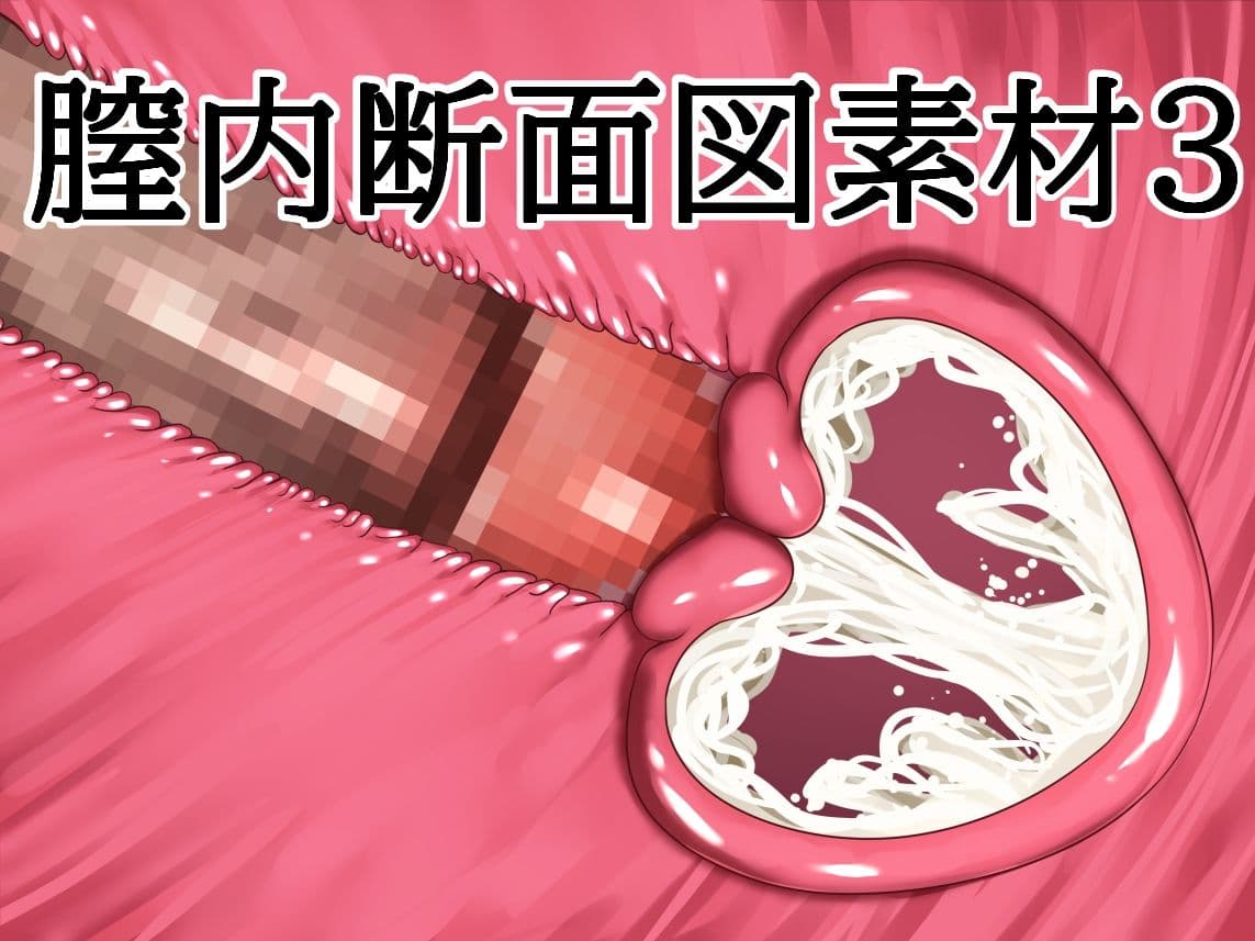 膣内断面図素材3 サンプル1