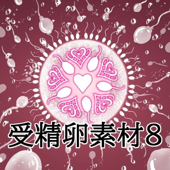 受精卵素材8 サンプル1