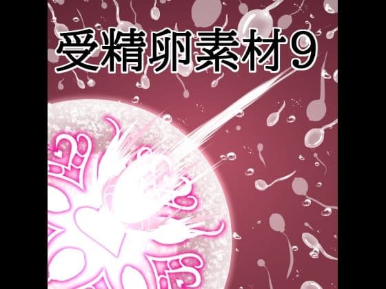 受精卵素材9