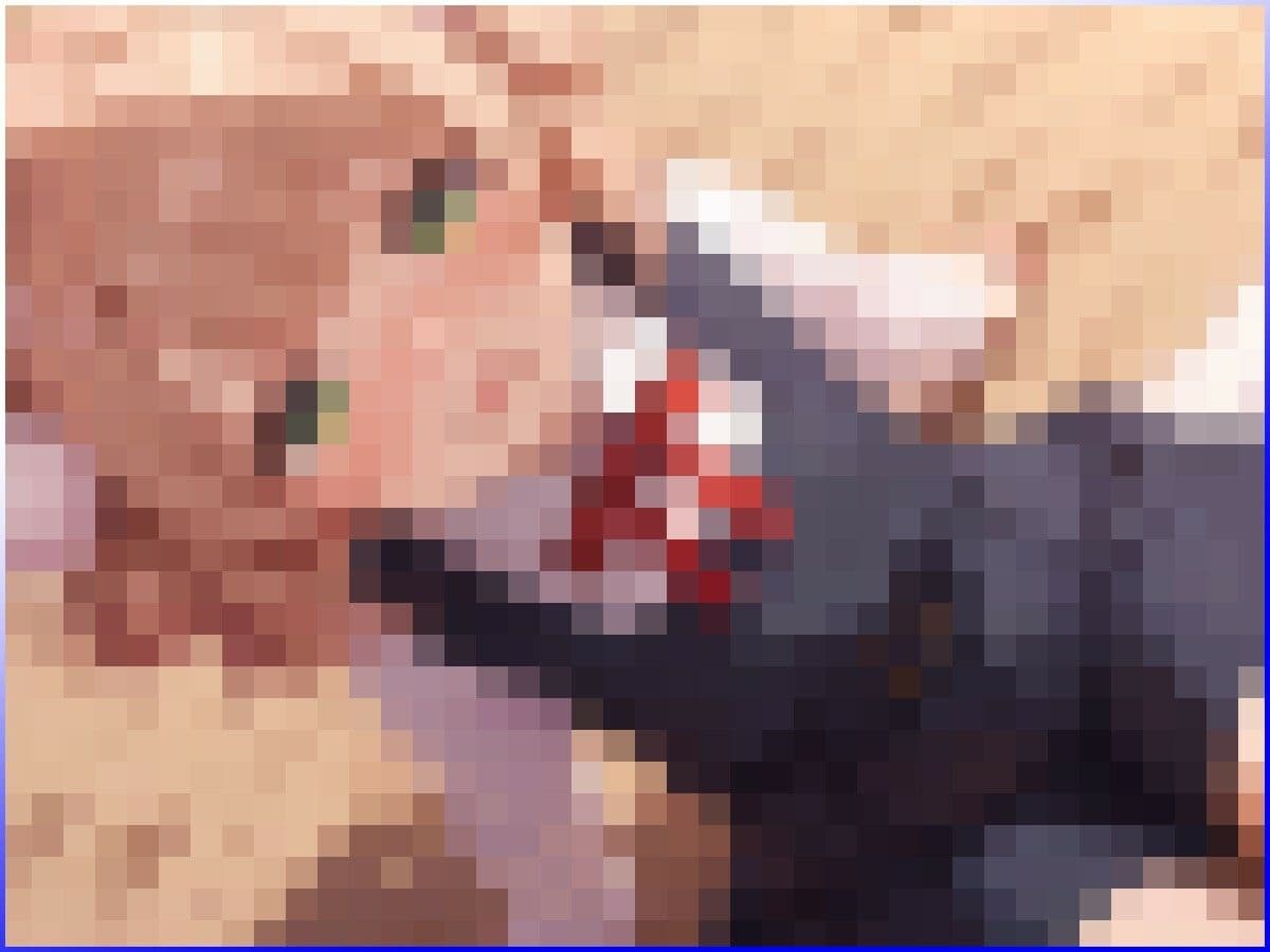 某有名イラストレーター・Vtuberのあのひとっぽいやーつ（90さい） サンプル1