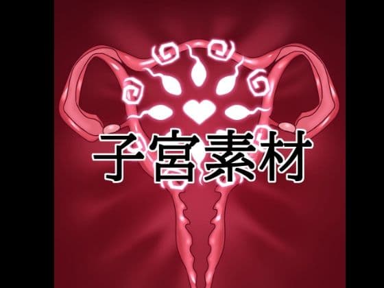 子宮素材