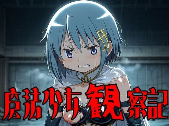 魔法少女観察記3