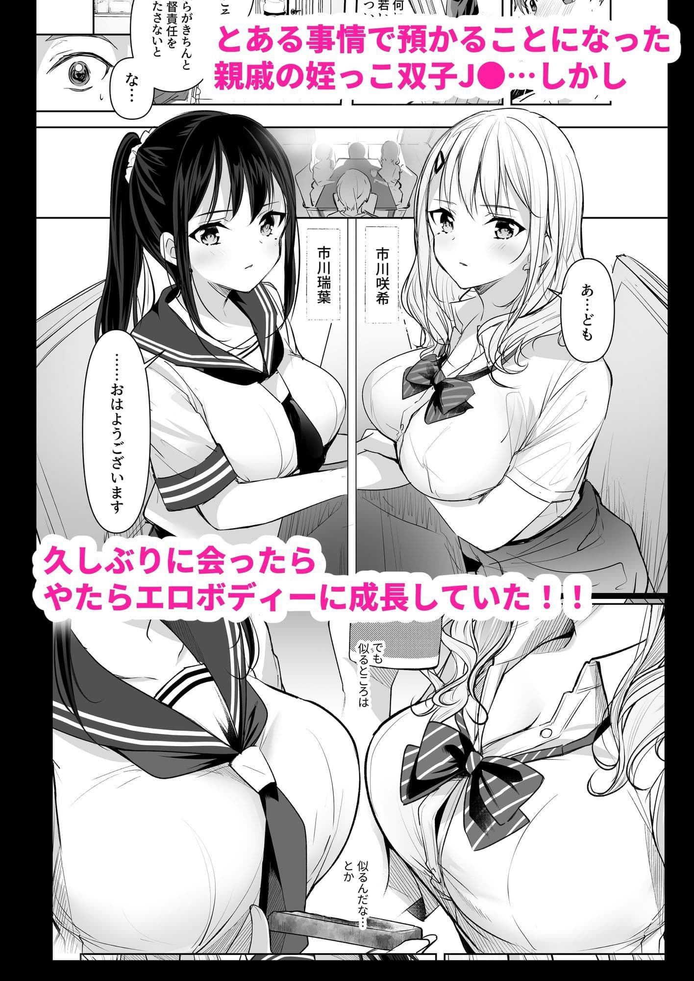 僕の姪は巨乳でビッチな双子JK〜弄ばれる性活事情〜 サンプル2