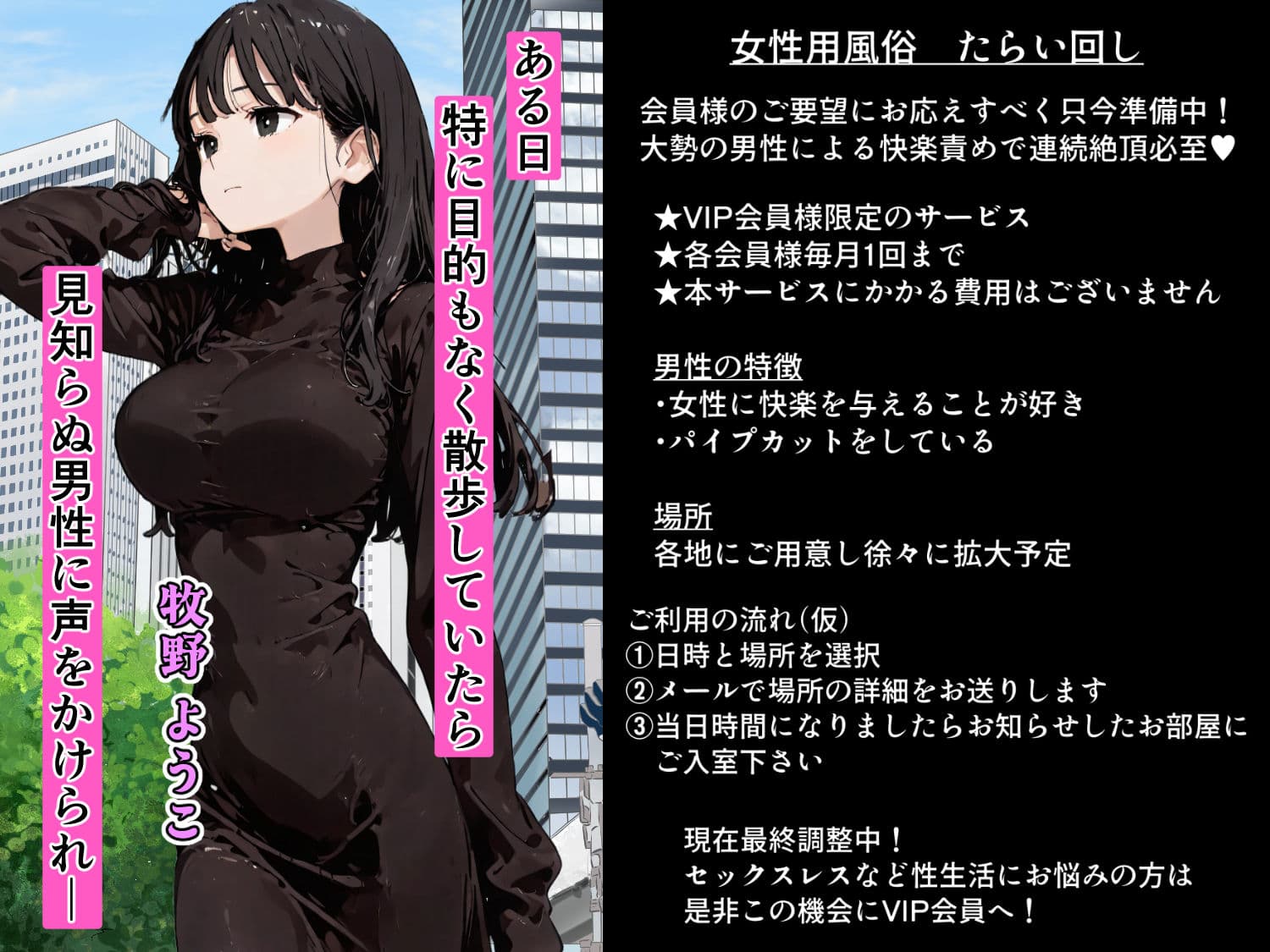 女性用風俗たらい回し  〜お金に釣られて体験モニターしてみたら・・・〜 サンプル1