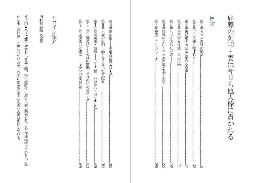 高慢な妻を堕とす・妻は今日も他人棒に貫かれる サンプル1