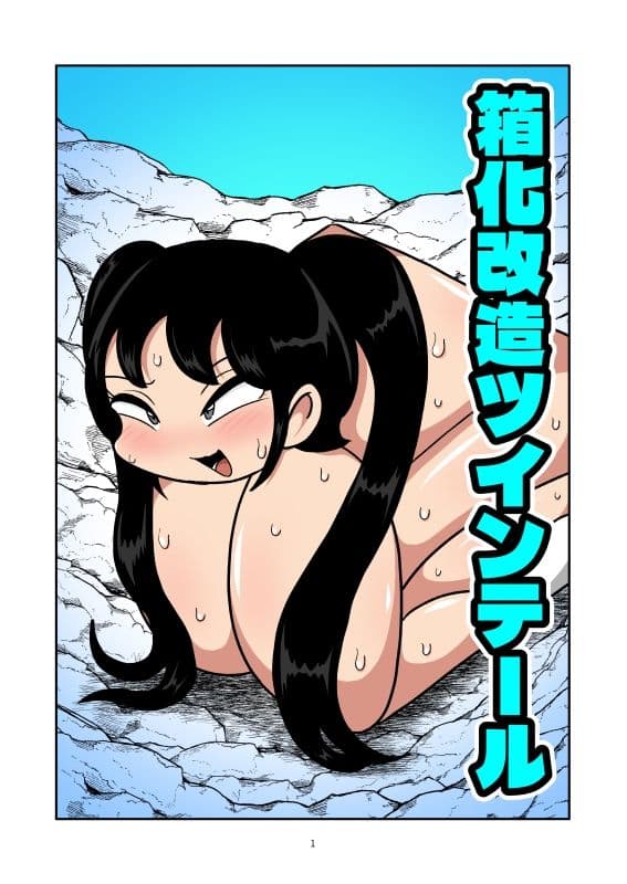 箱化改造ツインテール サンプル1